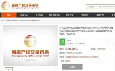 探索水下世界，魚圖片的魅力與意義