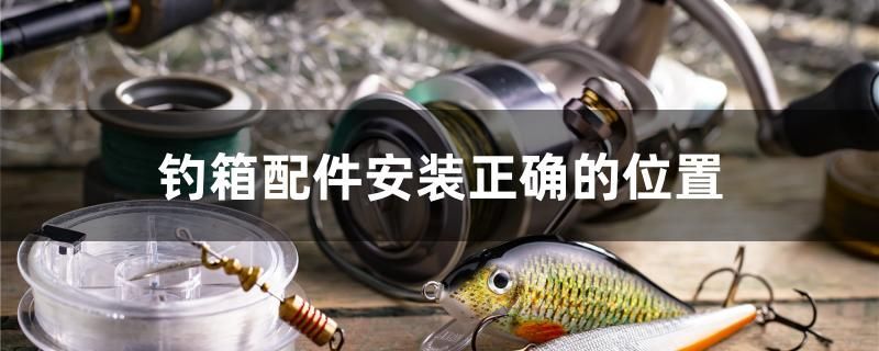 釣箱配件安裝正確的位置
