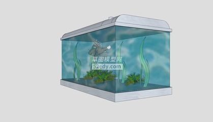 玻璃金魚缸什么意思（\"玻璃金魚缸效應(yīng)介紹）