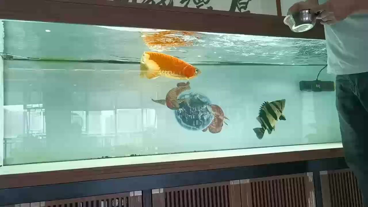 一邊上班一邊溜魚