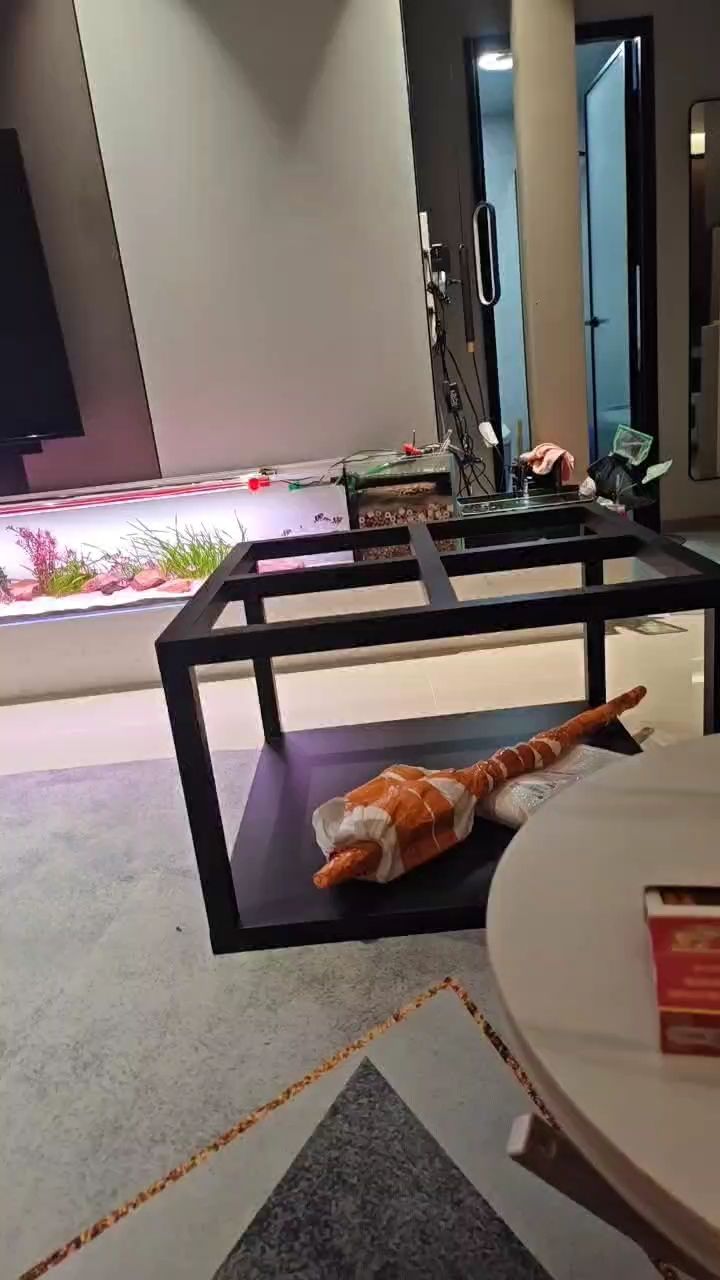 喜歡很久的80方缸架子來了