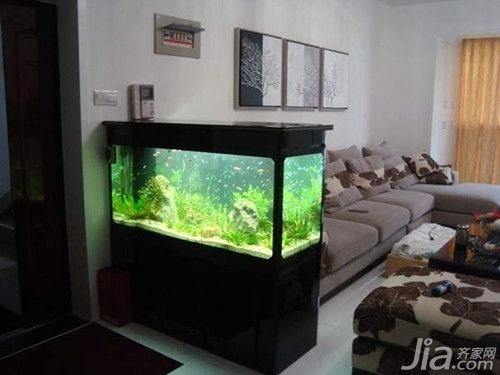 紅龍魚28厘米值多少錢 萬吉紅龍魚和孟吉爾紅龍魚混養(萬吉紅龍什么價位) 廣州孟吉爾 萬吉紅龍魚和孟吉爾紅龍魚混養(萬吉紅龍什么價位) 萬吉紅龍魚和孟吉爾紅龍魚混養(萬吉紅龍什么價位) 廣州孟吉爾