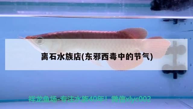 離石水族店(東邪西毒中的節氣)