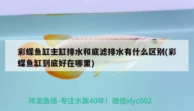 光特億水泵靜音效果怎么樣：晚上走夜路，你們碰到過什么古怪的事情 光特億水泵靜音效果怎么樣：晚上走夜路，你們碰到過什么古怪的事情 光特億 第2張