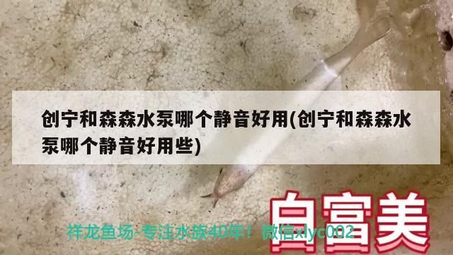 創寧和森森水泵哪個靜音好用(創寧和森森水泵哪個靜音好用些)