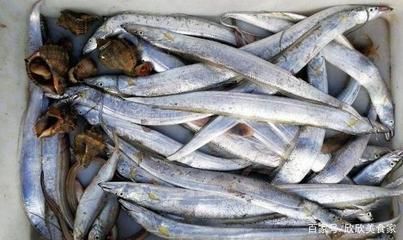 戶外觀賞魚池帶魚消毒方法（戶外觀賞魚池帶魚消毒的方法）