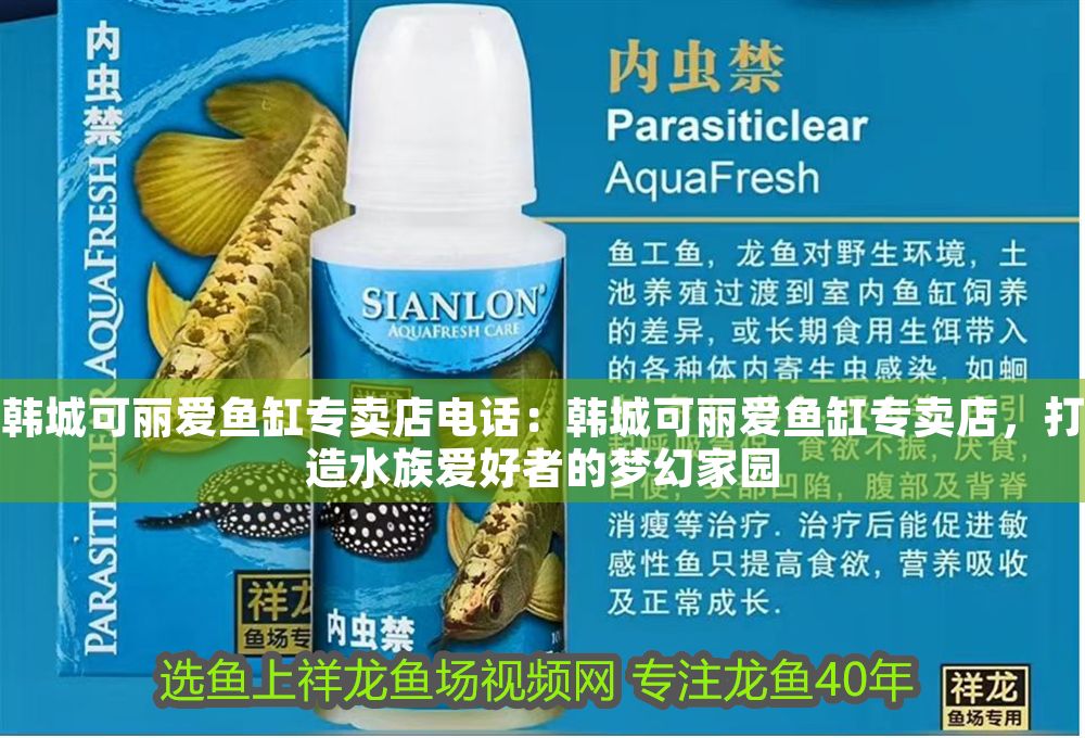 韓城可麗愛魚缸專賣店電話：韓城可麗愛魚缸專賣店，打造水族愛好者的夢幻家園