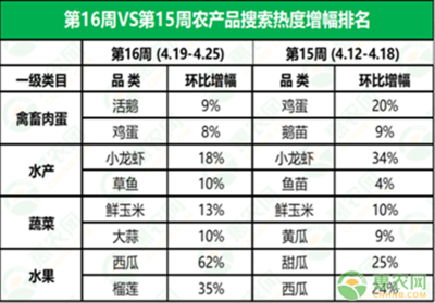魚跳缸是替主人擋災嗎？解析民間傳說與科學真相