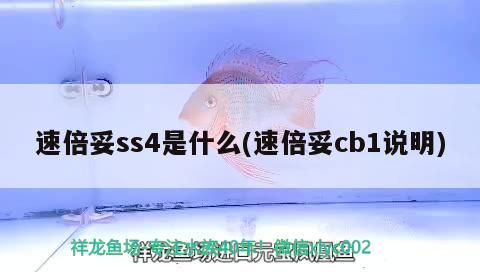 我的虎魚真菌感染了要怎么處理 速倍妥ss4是什么(速倍妥cb1說明) 速倍妥 速倍妥ss4是什么(速倍妥cb1說明) 速倍妥ss4是什么(速倍妥cb1說明) 速倍妥