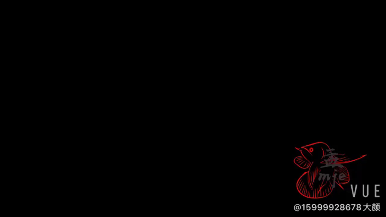 云浮觀賞魚市場孟吉爾～紅外線F1開缸大吉