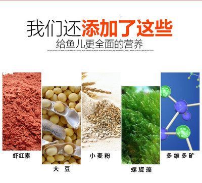 觀賞魚專用魚餌(觀賞魚專用魚餌推薦及種類介紹) 立達(dá)金龍魚 第4張 觀賞魚專用魚餌(觀賞魚專用魚餌推薦及種類介紹) 觀賞魚專用魚餌(觀賞魚專用魚餌推薦及種類介紹) 立達(dá)金龍魚 第4張