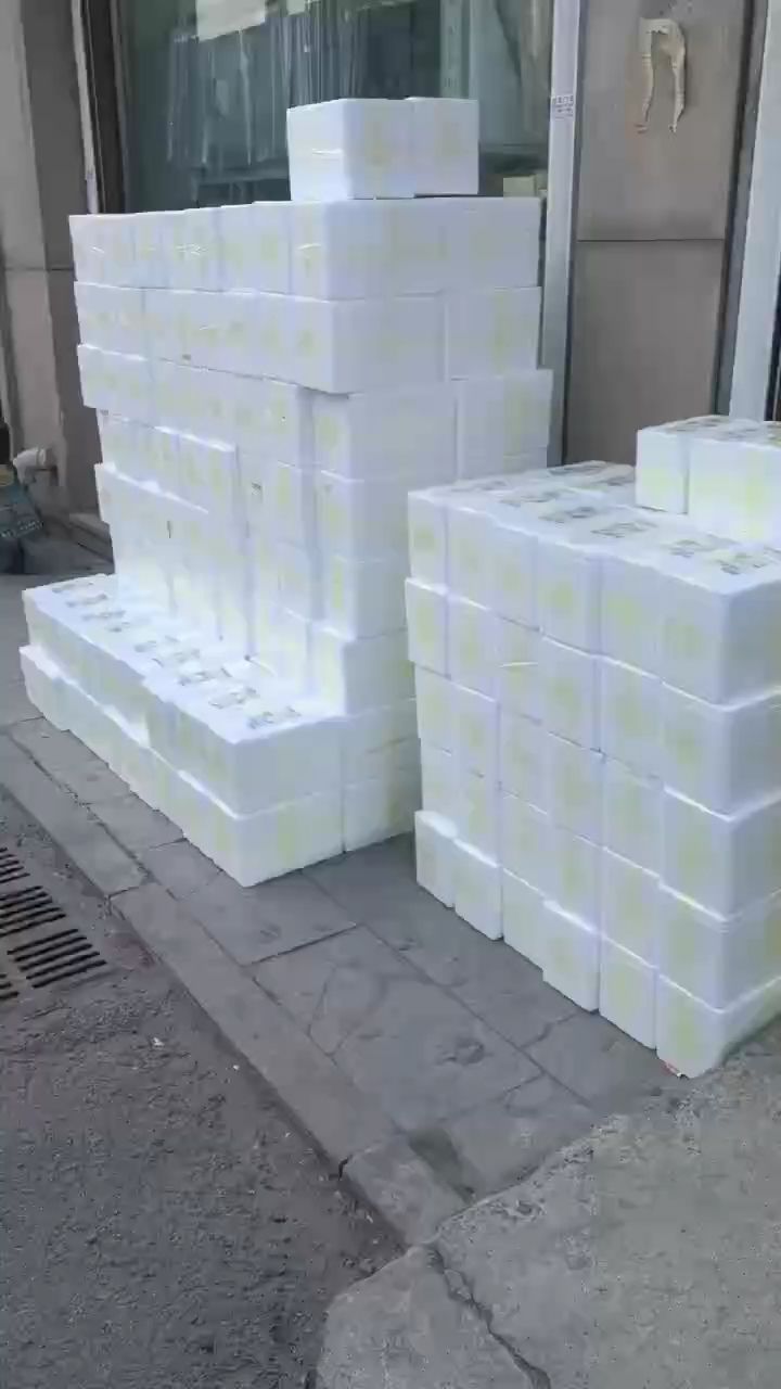 魚缸造景先放沙還是先放水(魚缸造景先鋪沙還是先放石頭) 善玉細(xì)菌孔雀魚魚糧 上一波 龍魚論壇 善玉細(xì)菌孔雀魚魚糧 上一波 善玉細(xì)菌孔雀魚魚糧 上一波 龍魚論壇