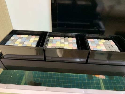 怎么區(qū)分龍魚的公母圖片：龍魚公母區(qū)分全攻略，從多維度精準(zhǔn)辨別