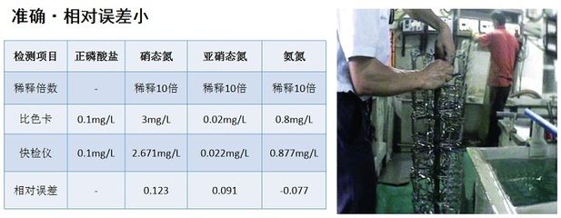 魚替主人擋災的七大征兆，神秘現象背后的靈性啟示