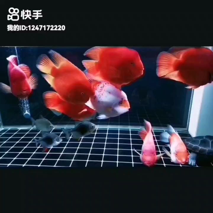 事事順遂 ，會越來越好，南無阿彌陀佛????????