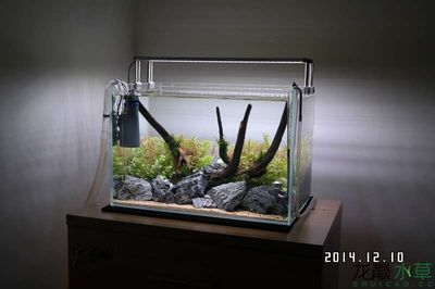 60的魚缸需要多少斤水草泥：60升的魚缸需要多少水草泥