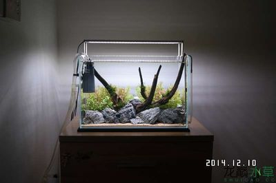 60的魚缸需要多少斤水草泥：60升的魚缸需要多少水草泥