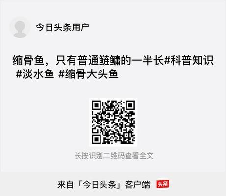 蝴蝶鯉縮骨藥水怎么制作(關于蝴蝶鯉縮骨藥水的制作) 蝴蝶鯉百科 第2張 蝴蝶鯉縮骨藥水怎么制作(關于蝴蝶鯉縮骨藥水的制作) 蝴蝶鯉縮骨藥水怎么制作(關于蝴蝶鯉縮骨藥水的制作) 蝴蝶鯉百科 第2張
