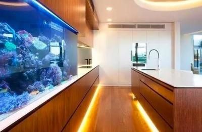 水族館加盟店排行榜及價(jià)格表大全：水族館加盟店排行榜價(jià)格表大全 水族館加盟店排行榜及價(jià)格表大全：水族館加盟店排行榜價(jià)格表大全 水族館百科（水族館加盟）
