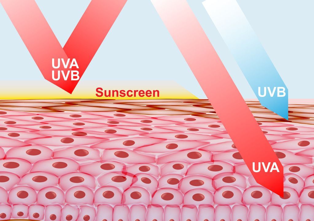 馬印uva：馬印uva咖啡豆