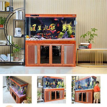 龍魚缸過濾材料多久換一次,龍魚缸的過濾材料更換頻率 魚缸百科 第3張 龍魚缸過濾材料多久換一次,龍魚缸的過濾材料更換頻率 龍魚缸過濾材料多久換一次,龍魚缸的過濾材料更換頻率 魚缸百科 第3張