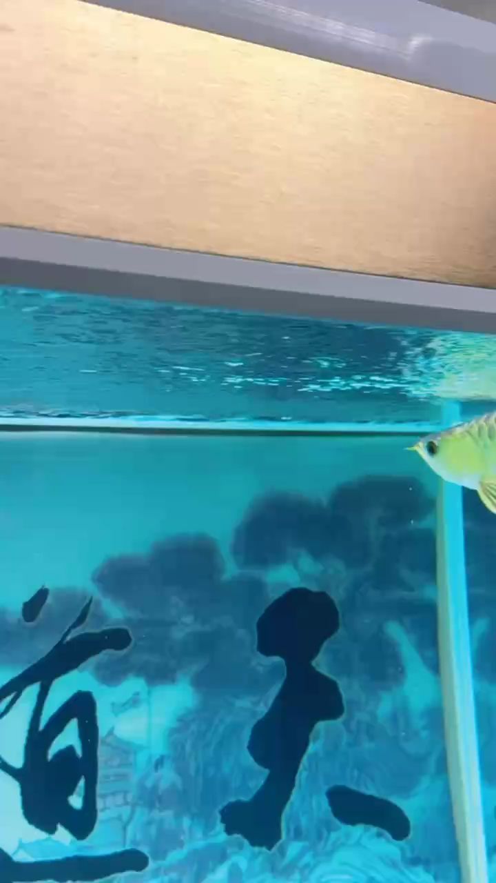 人得有點興趣愛好
