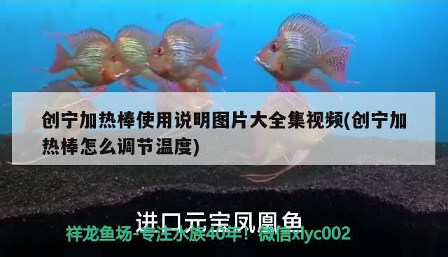 創(chuàng)寧加熱棒使用說(shuō)明圖片大全集視頻(創(chuàng)寧加熱棒怎么調(diào)節(jié)溫度)
