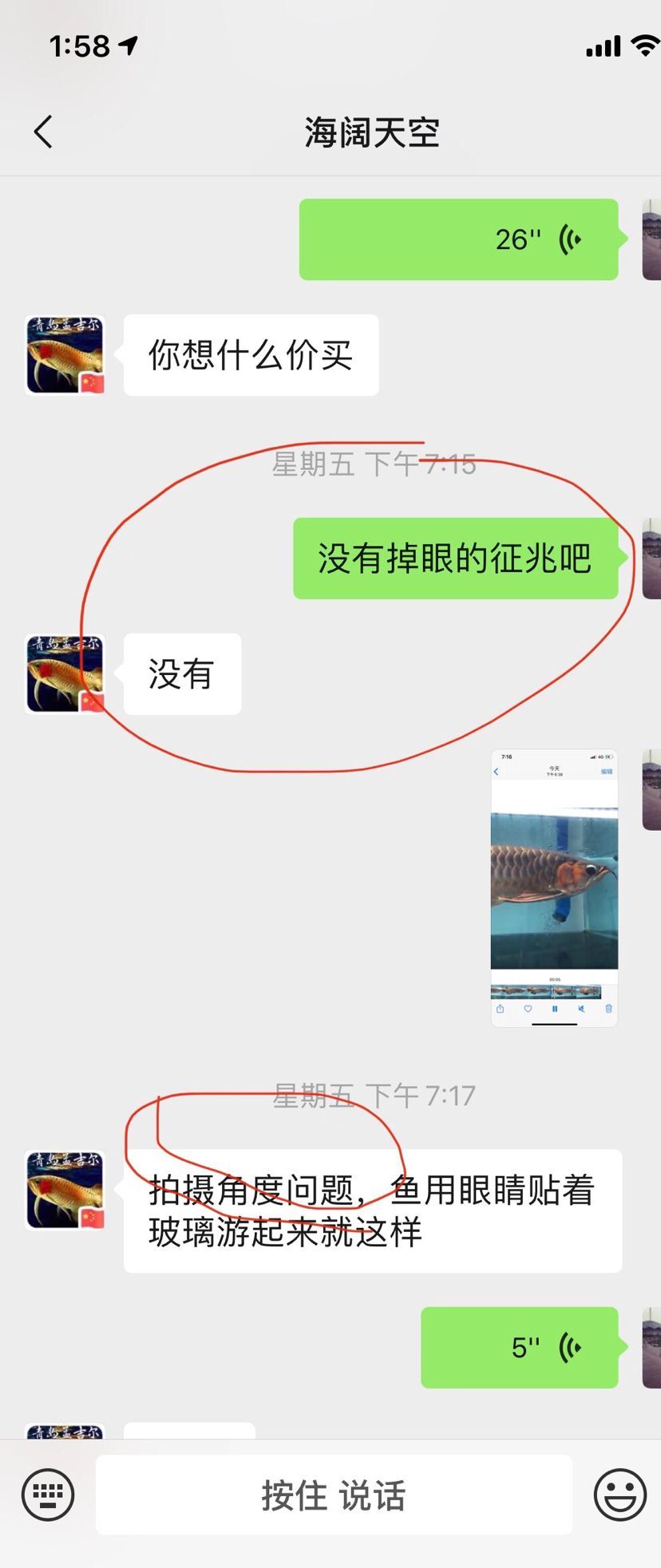 孟吉爾魚不對版 孟吉爾魚不對版 廣州孟吉爾 第3張
