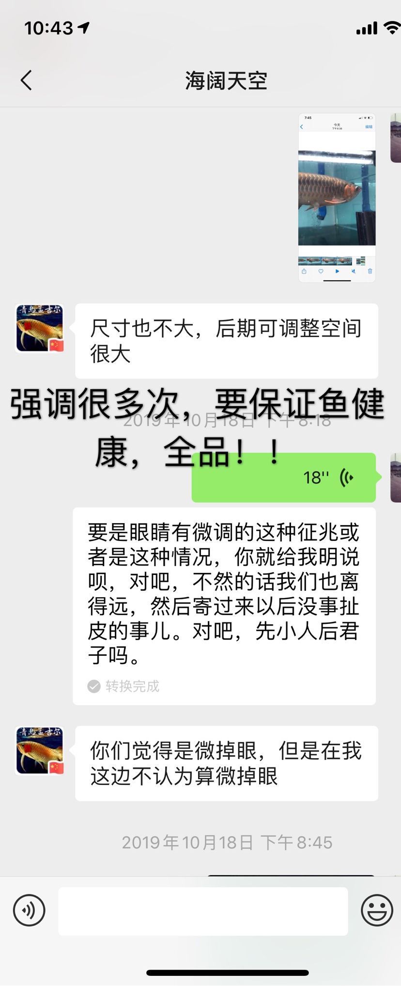 孟吉爾魚不對版 孟吉爾魚不對版 廣州孟吉爾 第4張