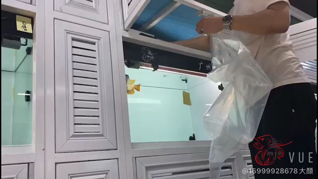 孟吉爾～孟吉爾紅外線F1炮彈