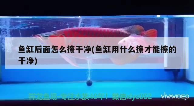 孟吉爾孟吉爾萬吉紅外線F1