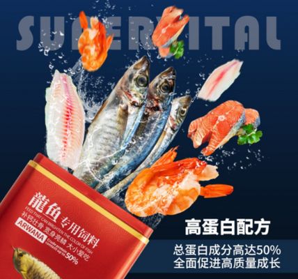 魚死亡前的征兆，如何識別并及時挽救你的愛魚