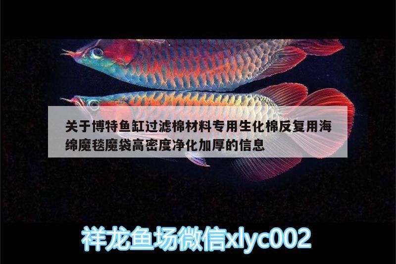 關(guān)于博特魚缸過濾棉材料專用生化棉反復(fù)用海綿魔毯魔袋高密度凈化加厚的信息