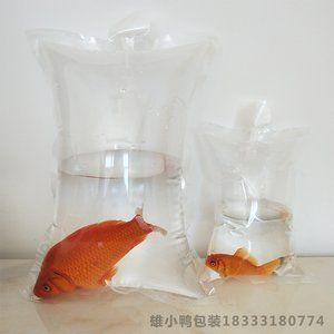 冬天觀賞魚如何發快遞(冬天發快遞觀賞魚需要注意保暖措施以確保觀賞魚運輸過程中存活) 愛龍仕 第3張 冬天觀賞魚如何發快遞(冬天發快遞觀賞魚需要注意保暖措施以確保觀賞魚運輸過程中存活) 冬天觀賞魚如何發快遞(冬天發快遞觀賞魚需要注意保暖措施以確保觀賞魚運輸過程中存活) 愛龍仕 第3張