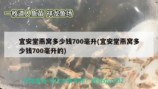蕪湖魚缸定做店電話多少 蕪湖魚缸定做店電話多少號 蕪湖魚缸定做店電話多少 蕪湖魚缸定做店電話多少號 李亞四龍魚 第2張