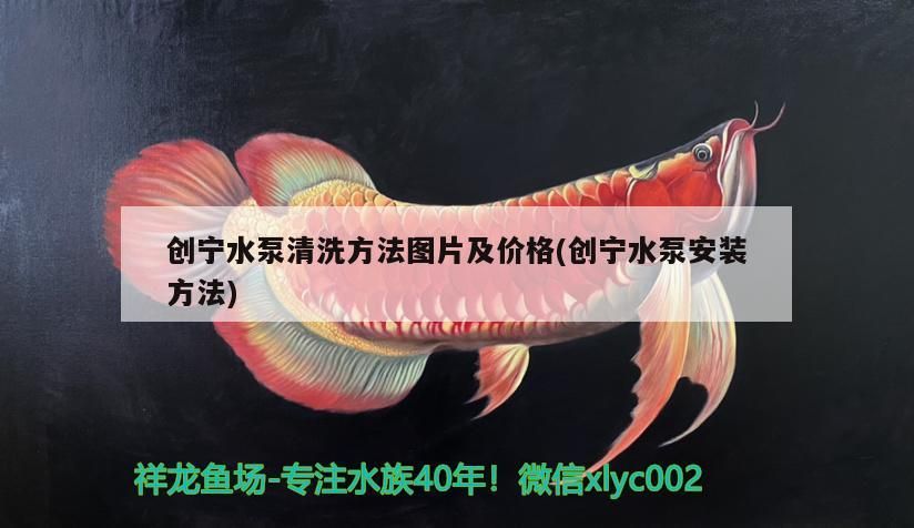 魚詩句霸氣千古絕句，縱橫江河的豪情與詩意 魚詩句霸氣千古絕句，縱橫江河的豪情與詩意 龍魚百科