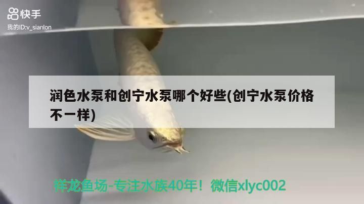 潤色水泵和創寧水泵哪個好些(創寧水泵價格不一樣)