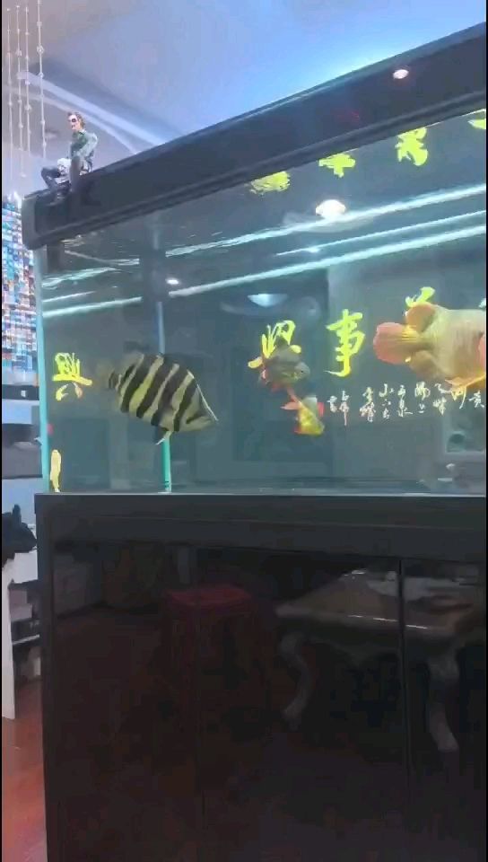 頂級虎