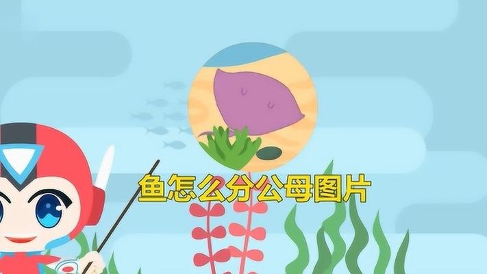 魚身上長白點(diǎn)怎么辦？原因、治療與預(yù)防全攻略