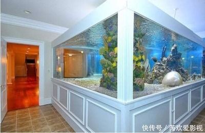 閩江魚缸潛水泵怎么打開（閩江魚缸潛水泵怎么打開的） 閩江魚缸潛水泵怎么打開（閩江魚缸潛水泵怎么打開的） 帝龍漁業