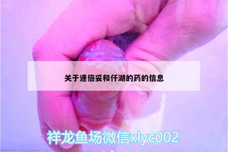 關于速倍妥和仟湖的藥的信息