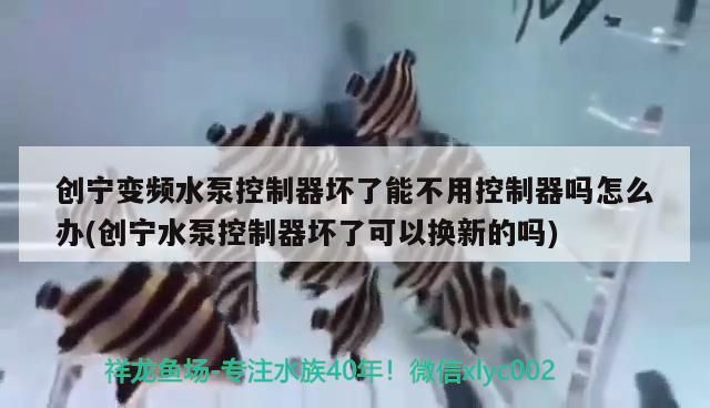 創(chuàng)寧變頻水泵控制器壞了能不用控制器嗎怎么辦(創(chuàng)寧水泵控制器壞了可以換新的嗎)