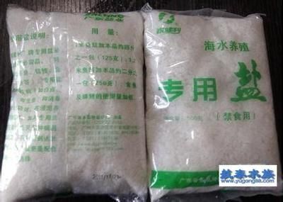 觀賞魚鹽好用嗎（觀賞魚養護秘籍） 觀賞魚鹽好用嗎（觀賞魚養護秘籍） 則道紅龍 第4張