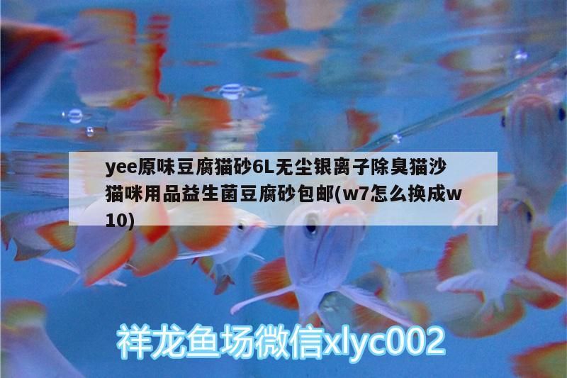 yee原味豆腐貓砂6L無塵銀離子除臭貓沙貓咪用品益生菌豆腐砂包郵(w7怎么換成w10)