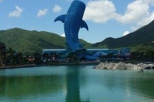 長(zhǎng)隆水族館門(mén)票價(jià)格（長(zhǎng)隆水族館門(mén)票價(jià)格怎么查詢(xún)）