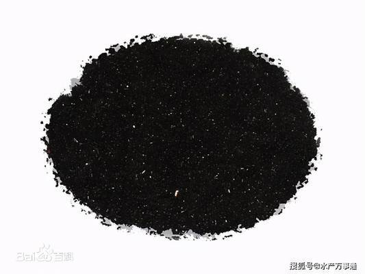 魚趴缸了要警惕四種病，原因分析與防治方法