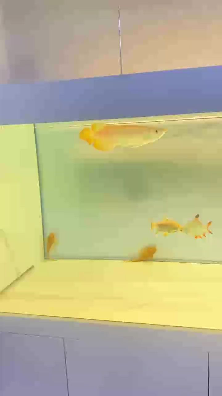 馬上2個月了