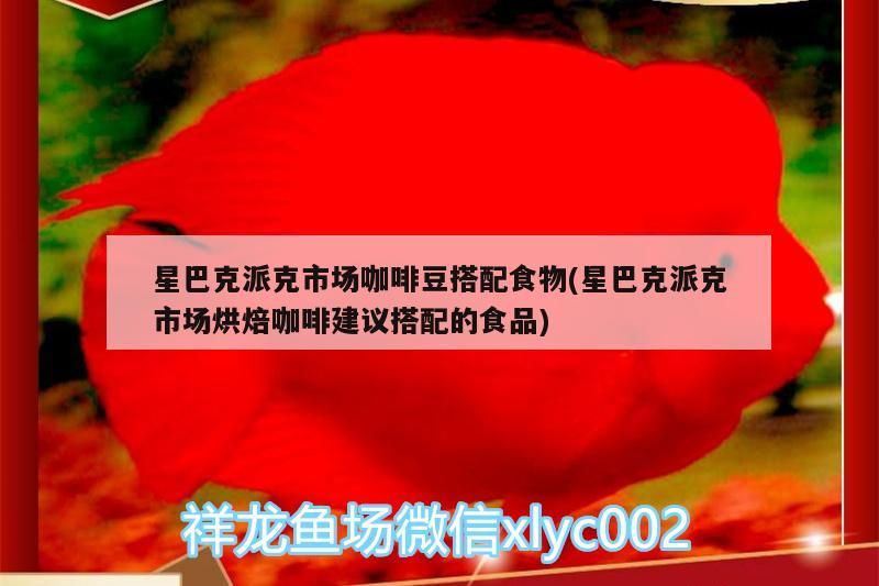 星巴克派克市場咖啡豆搭配食物(星巴克派克市場烘焙咖啡建議搭配的食品) 星巴克派克市場咖啡豆搭配食物(星巴克派克市場烘焙咖啡建議搭配的食品) 馬來西亞咖啡