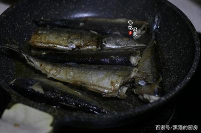 魚龍最正確生肖，揭秘十二生肖中的神秘象征與文化意蘊