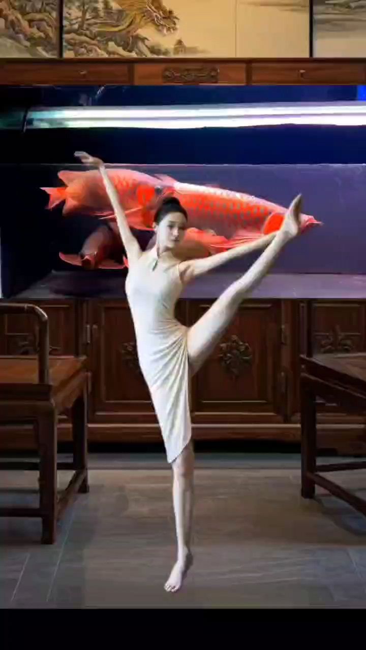 龍魚(yú)西施